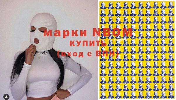 стаф Ростов