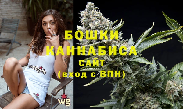 стаф Ростов