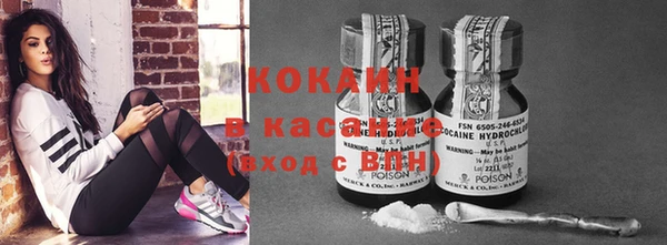 шишки Алексеевка